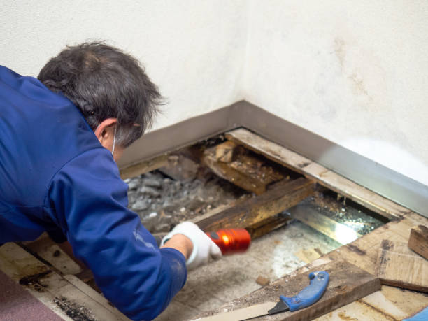 Best Post-Remediation Services in Skyline Ganipa, NM