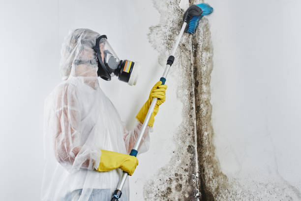 Best Mold Testing and Inspection Services in Skyline Ganipa, NM