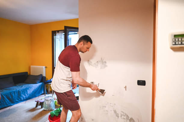 Best Preventive Mold Services in Skyline Ganipa, NM